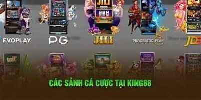 77 king88