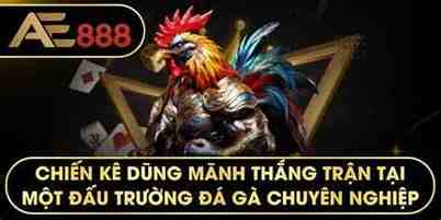 ae888 da ga
