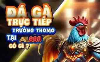 ae888 thomo