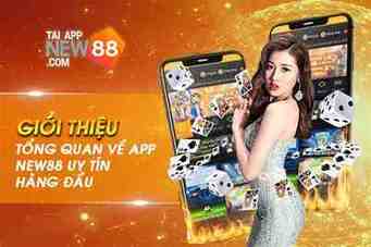 app new88