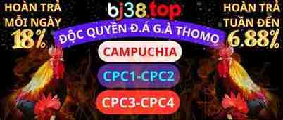 bj88 da ga thomo