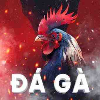 bj88 daga