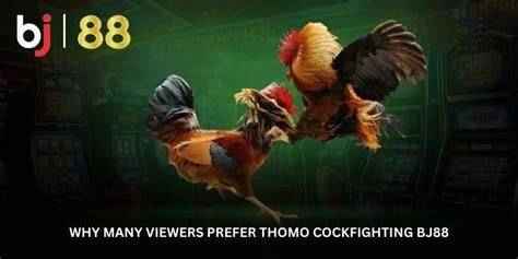 bj88 thomo