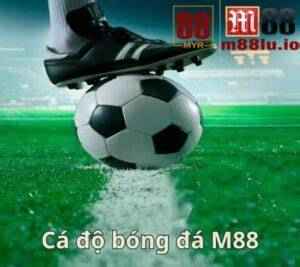 bong da m88