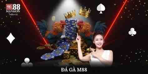 cá cược đá gà m88