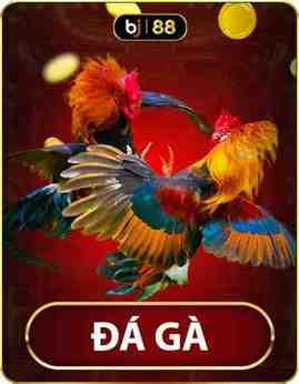 đá gà bj88 đăng nhập