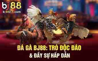đa ga bj88