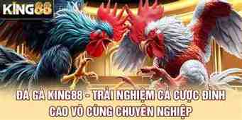 đá gà king88