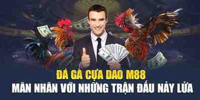 đá gà m88