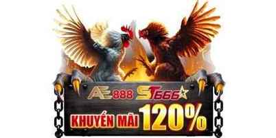 da ga truc tiep ae888