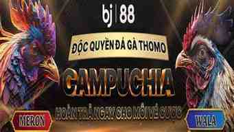 đá gà trực tiếp bj88