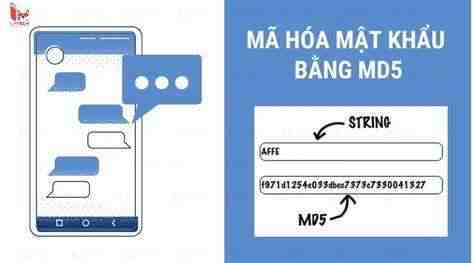 giải mã md5 go88