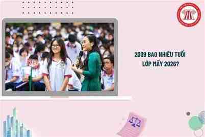 k8 là bao nhiêu tuổi học lớp mấy