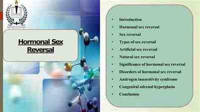 k8 sex