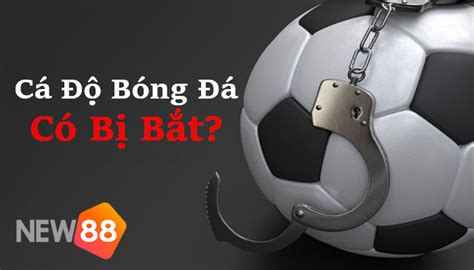new88 bị bắt