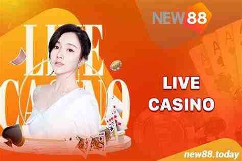 new88 today