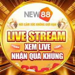quà tặng new88