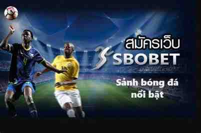 sbobet com bóng đá