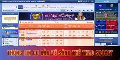 sbobet the thao