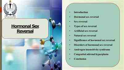 sex em k8