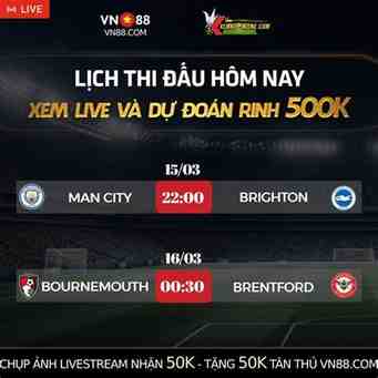 sex live vn88
