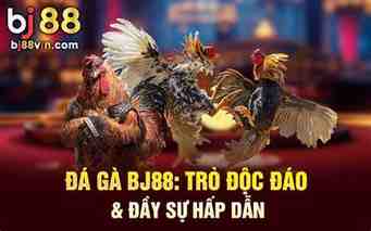 tại bj88 đá gà