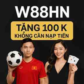 w88 đang nhập